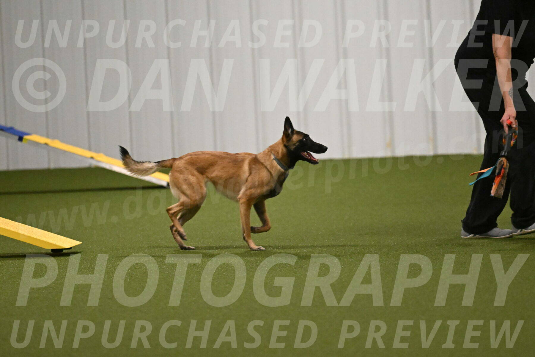 Ellie-Sharon-Muller-07131