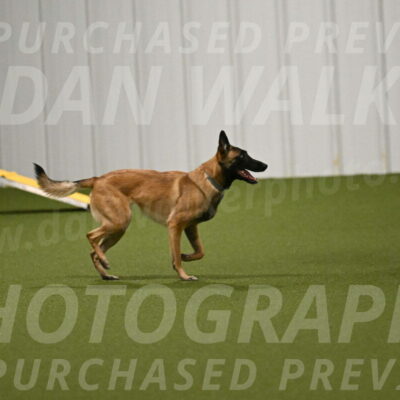 Ellie-Sharon-Muller-07131