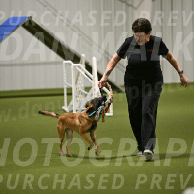 Ellie-Sharon-Muller-07133