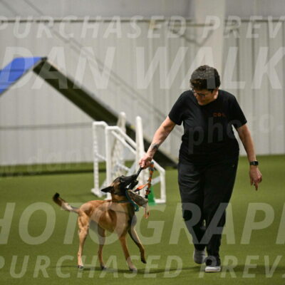 Ellie-Sharon-Muller-07135