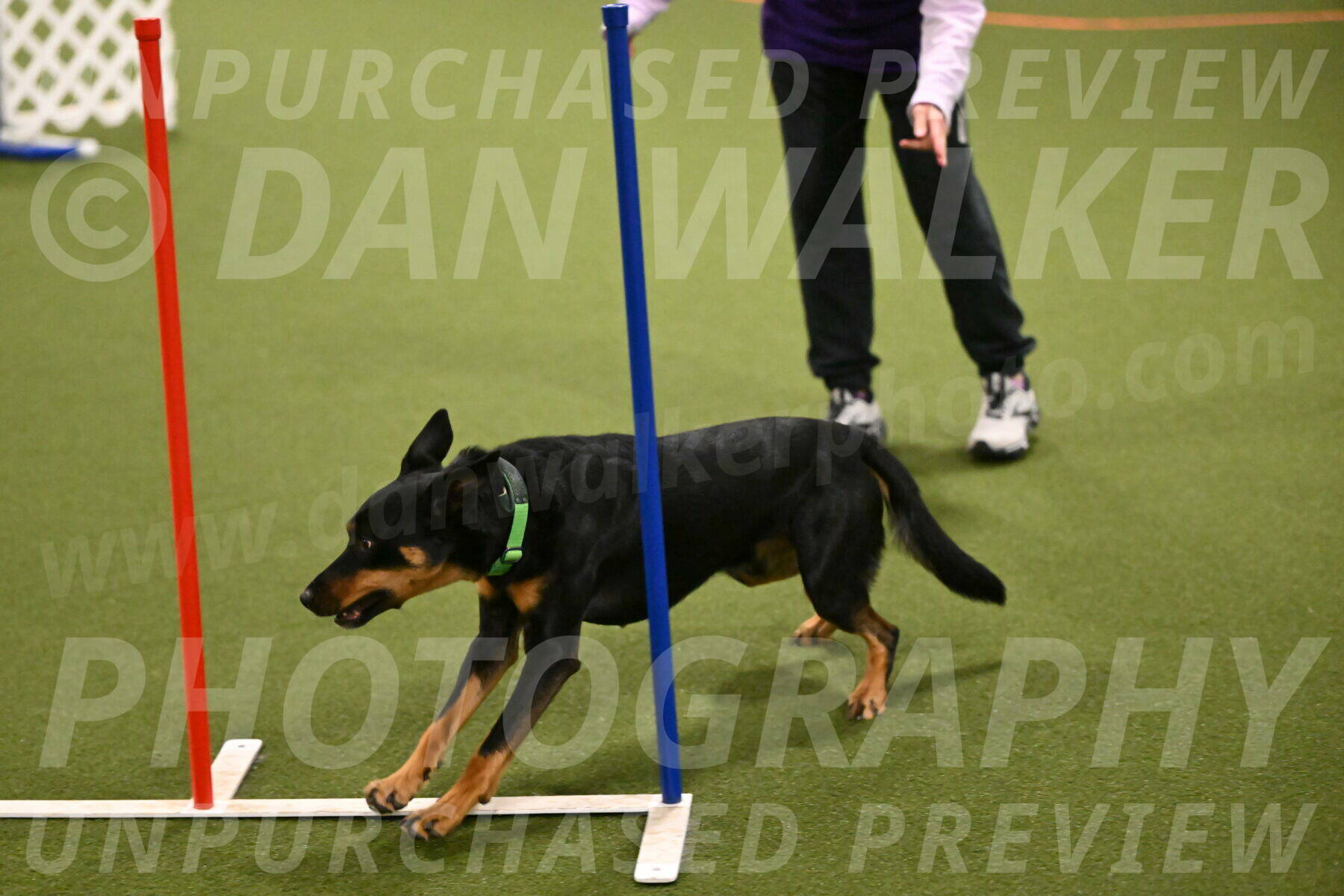 Enzo-Patricia-French-02922