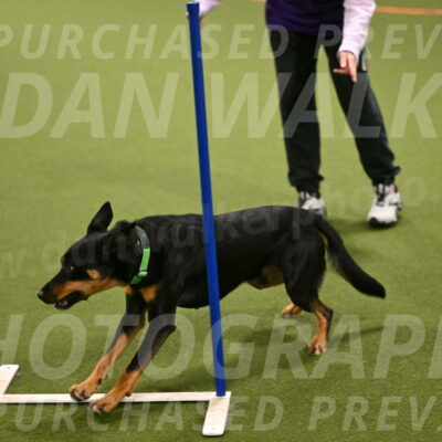 Enzo-Patricia-French-02922
