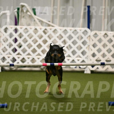 Enzo-Patricia-French-02929