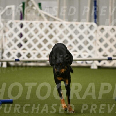 Enzo-Patricia-French-02935