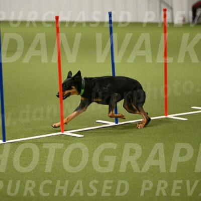 Enzo-Patricia-French-02938