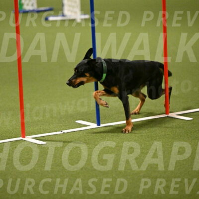 Enzo-Patricia-French-02940