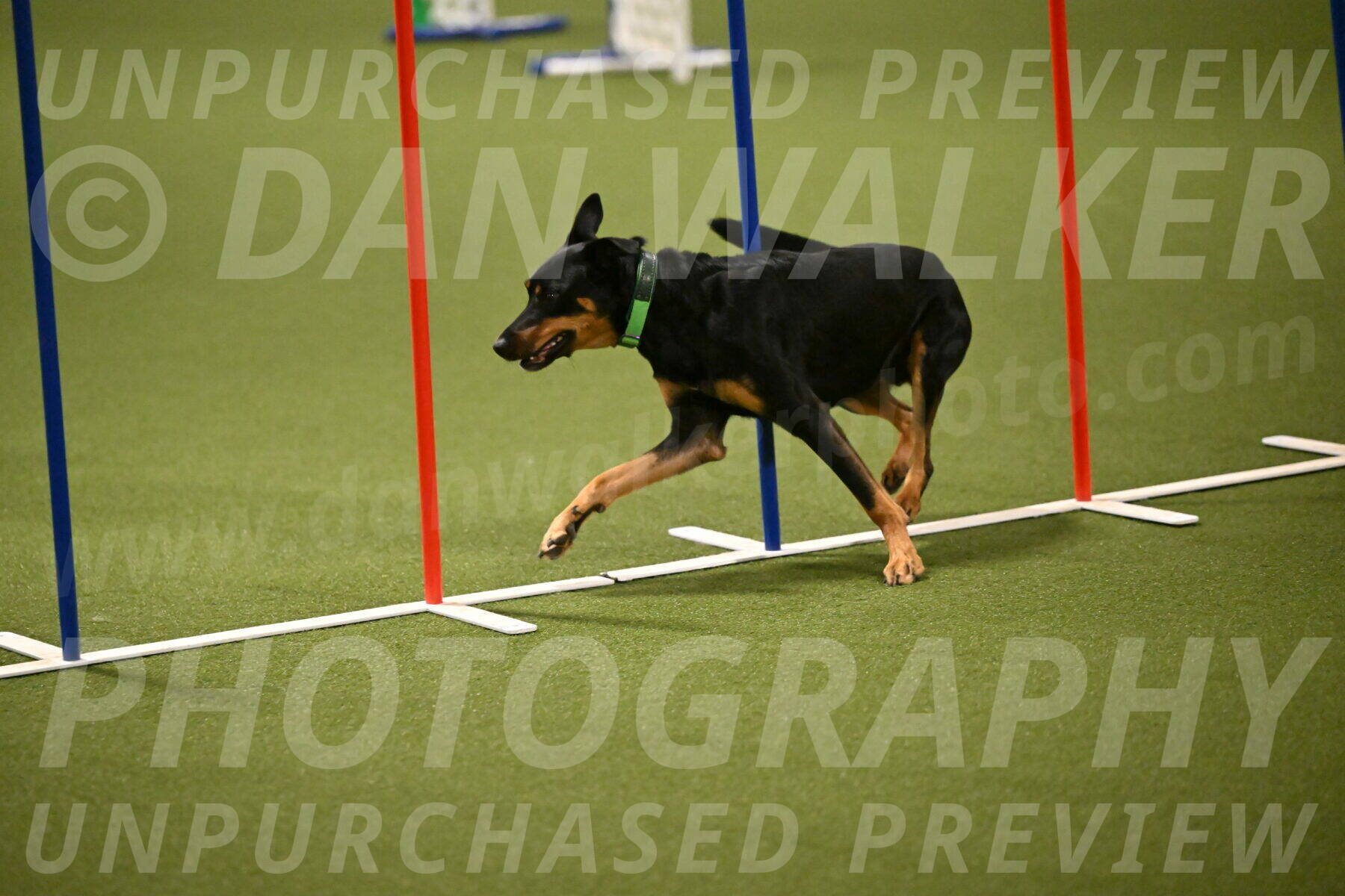 Enzo-Patricia-French-02941