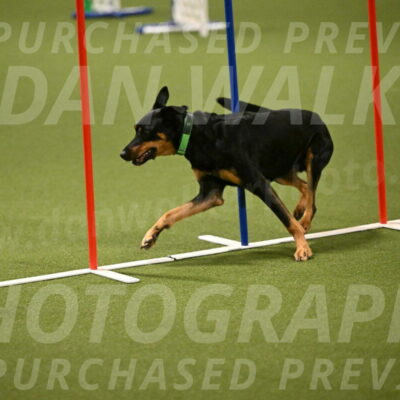 Enzo-Patricia-French-02941