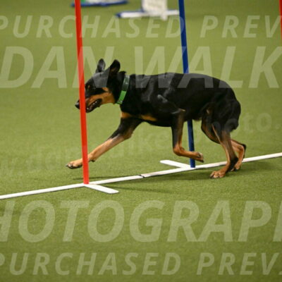 Enzo-Patricia-French-02942
