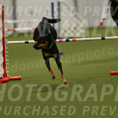Enzo-Patricia-French-02968