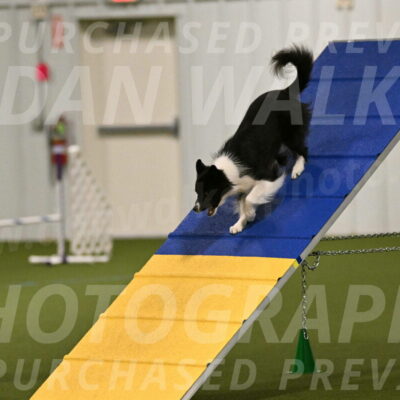 Esme-Samantha-Yanchik-00865