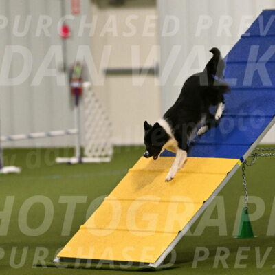 Esme-Samantha-Yanchik-00866