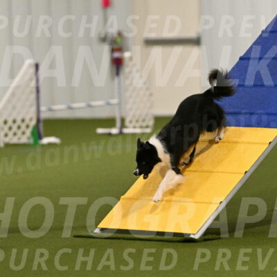 Esme-Samantha-Yanchik-00867