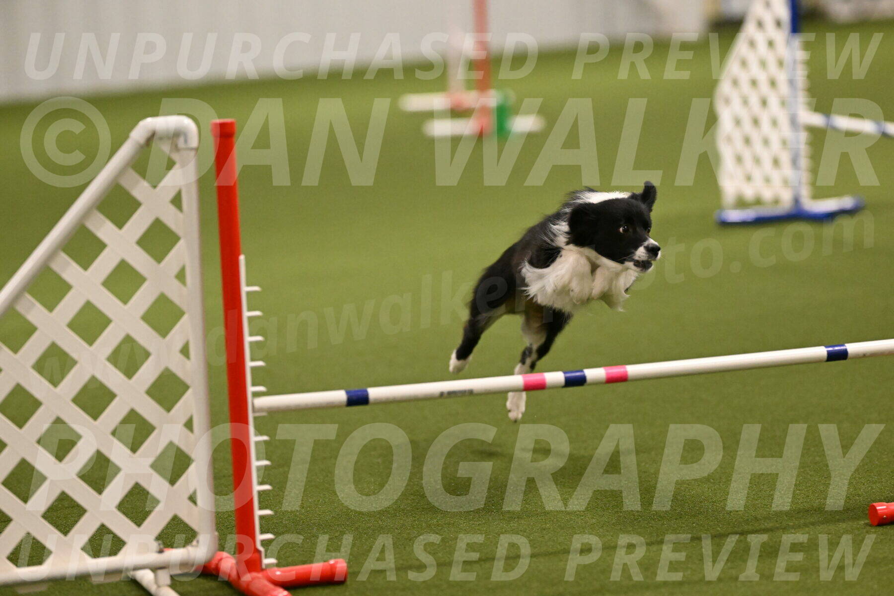 Esme-Samantha-Yanchik-00868