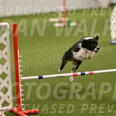 Esme-Samantha-Yanchik-00868