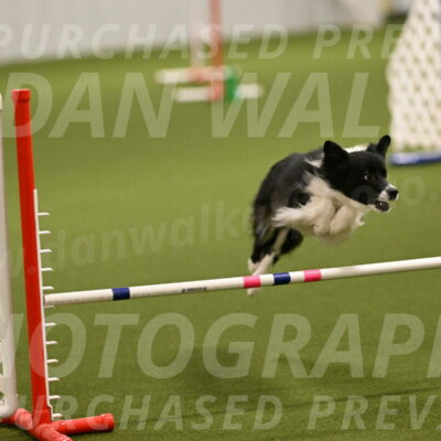 Esme-Samantha-Yanchik-00869