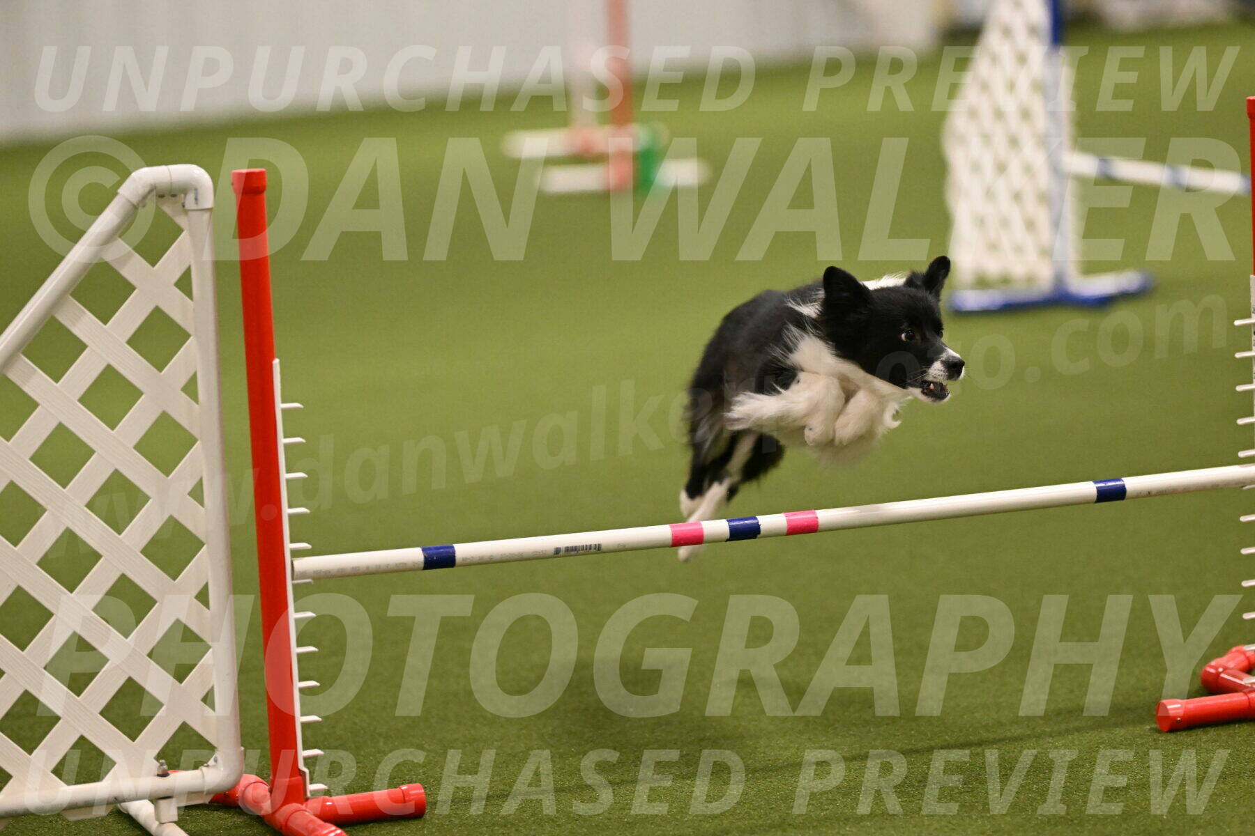 Esme-Samantha-Yanchik-00869