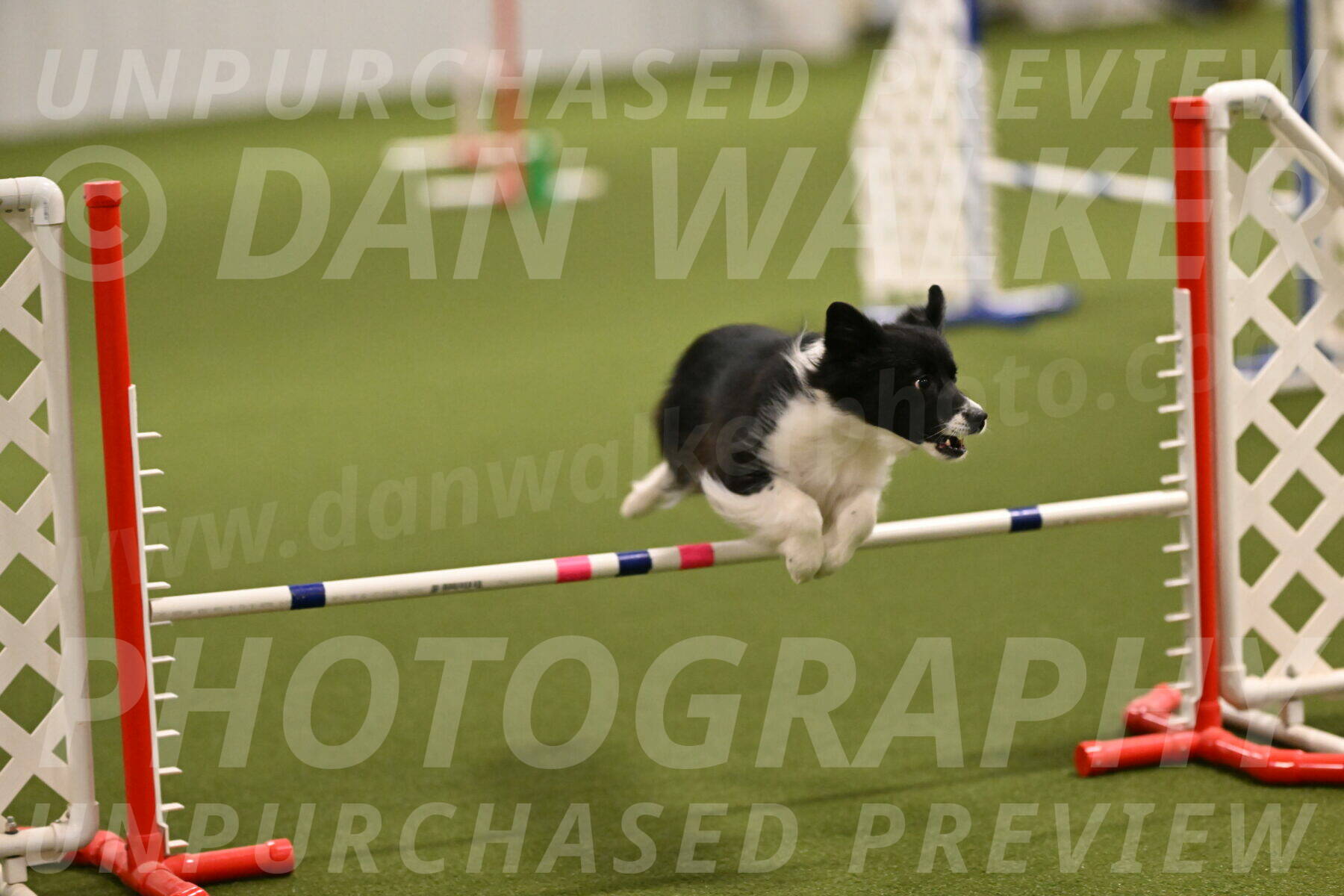 Esme-Samantha-Yanchik-00870