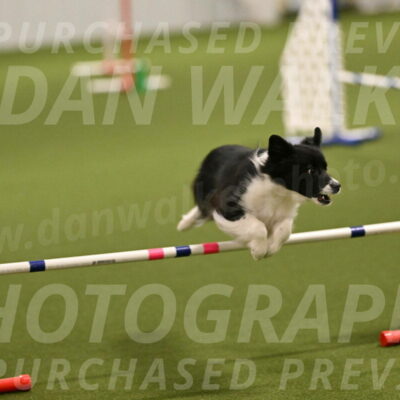 Esme-Samantha-Yanchik-00870