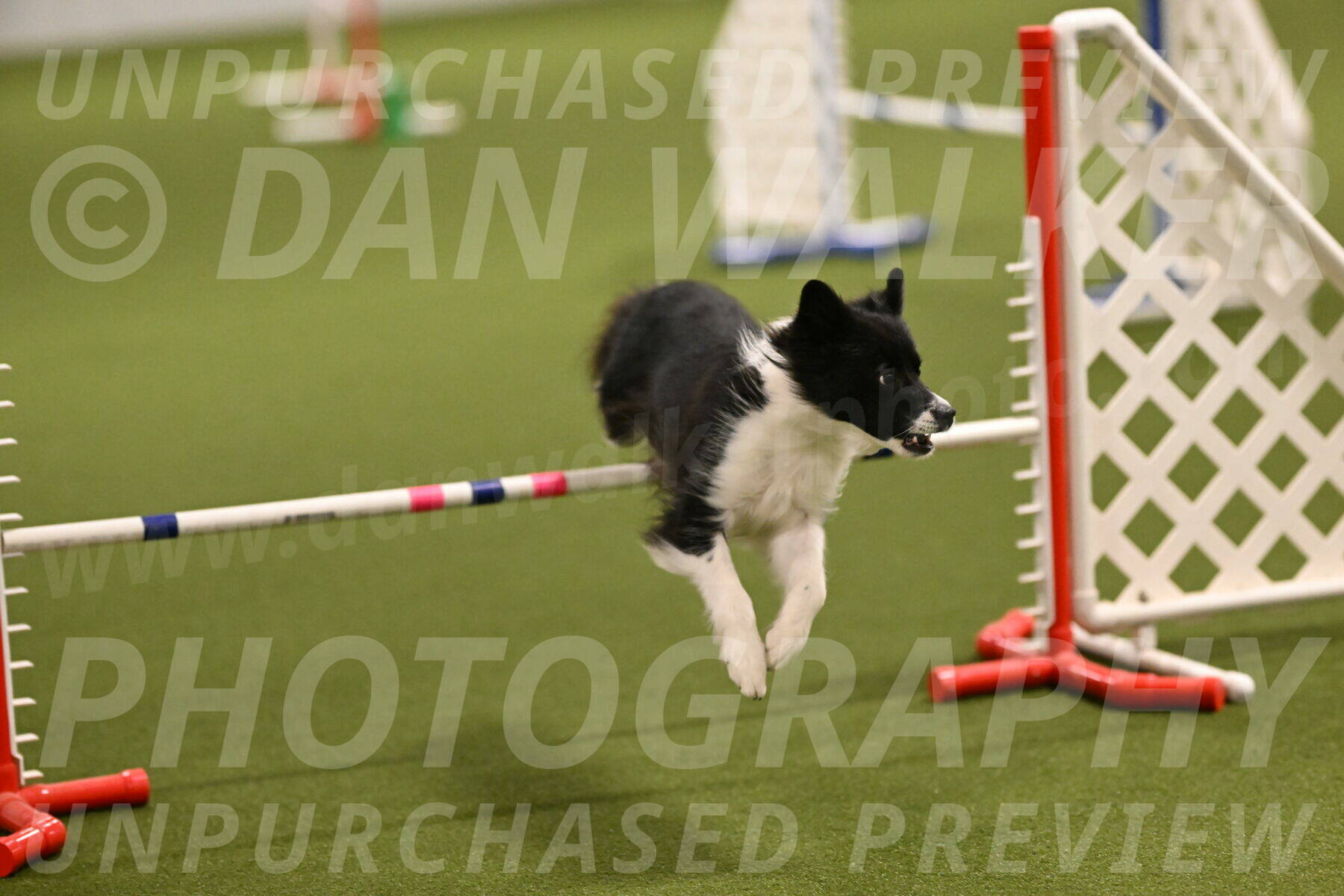 Esme-Samantha-Yanchik-00871