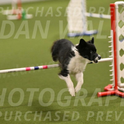 Esme-Samantha-Yanchik-00871