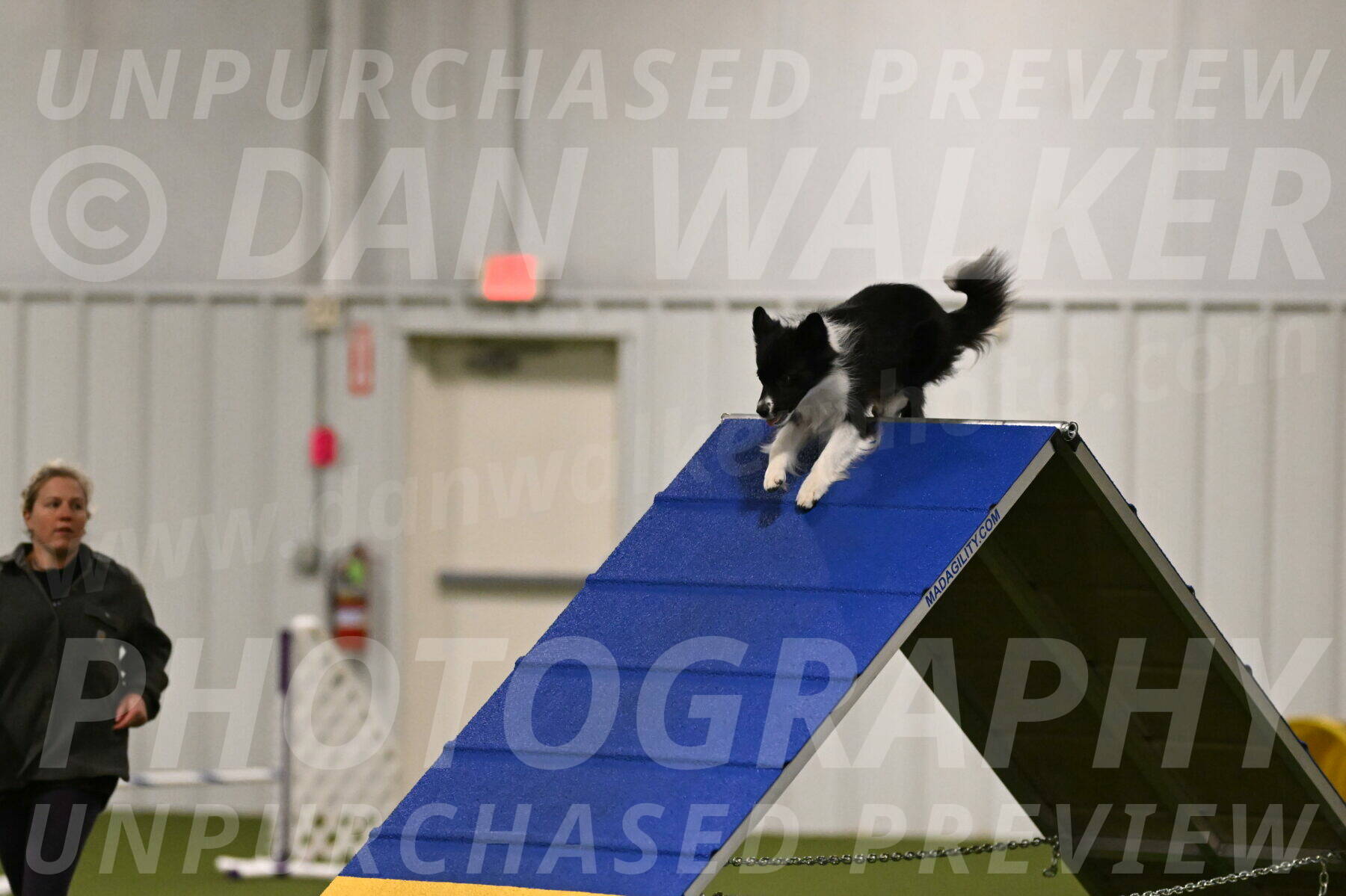 Esme-Samantha-Yanchik-00872