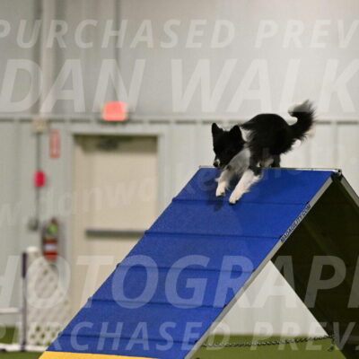 Esme-Samantha-Yanchik-00872