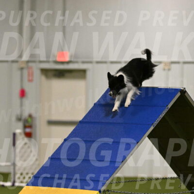 Esme-Samantha-Yanchik-00873