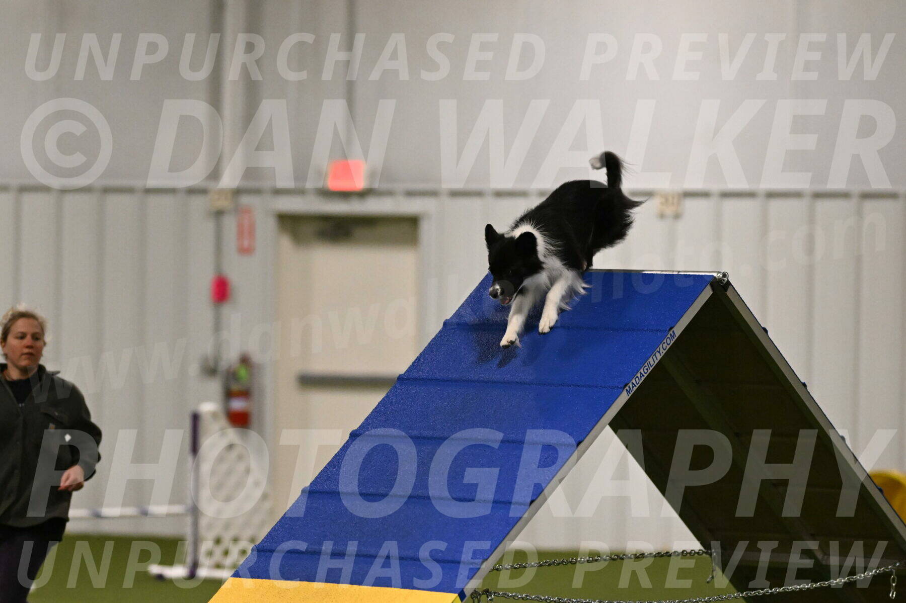 Esme-Samantha-Yanchik-00873