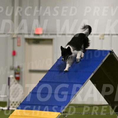 Esme-Samantha-Yanchik-00874