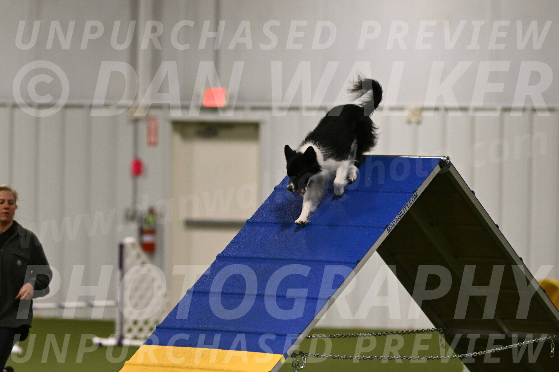 Esme-Samantha-Yanchik-00874