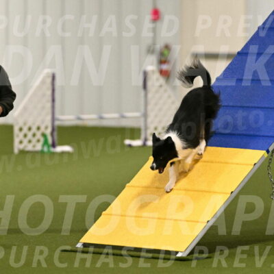 Esme-Samantha-Yanchik-00875