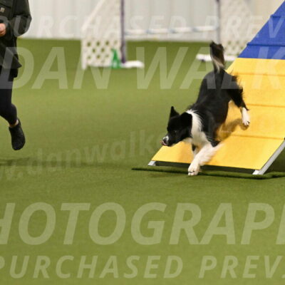 Esme-Samantha-Yanchik-00876