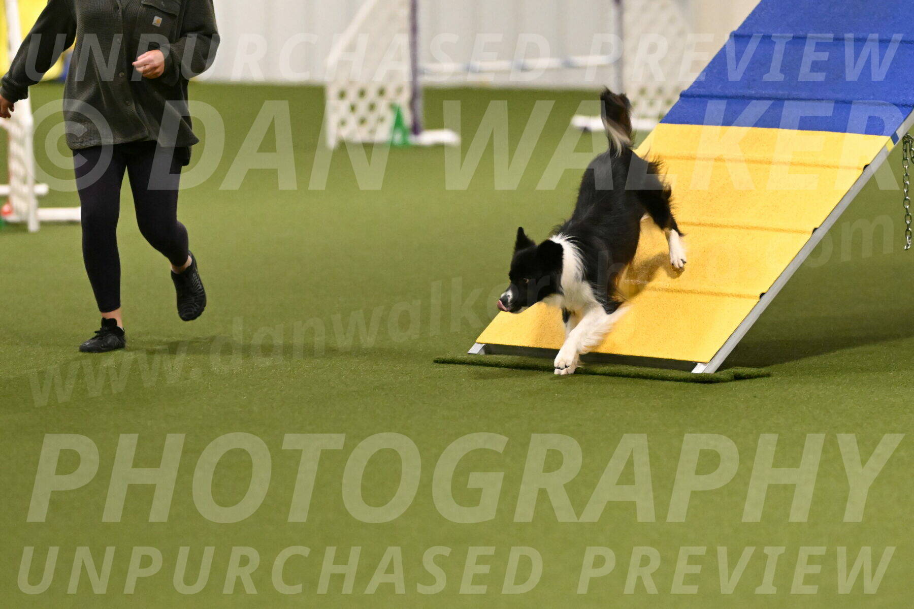 Esme-Samantha-Yanchik-00876