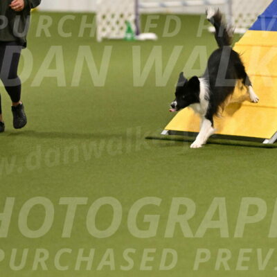 Esme-Samantha-Yanchik-00877