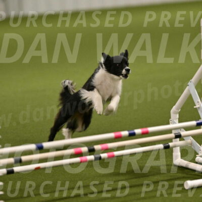 Esme-Samantha-Yanchik-00878