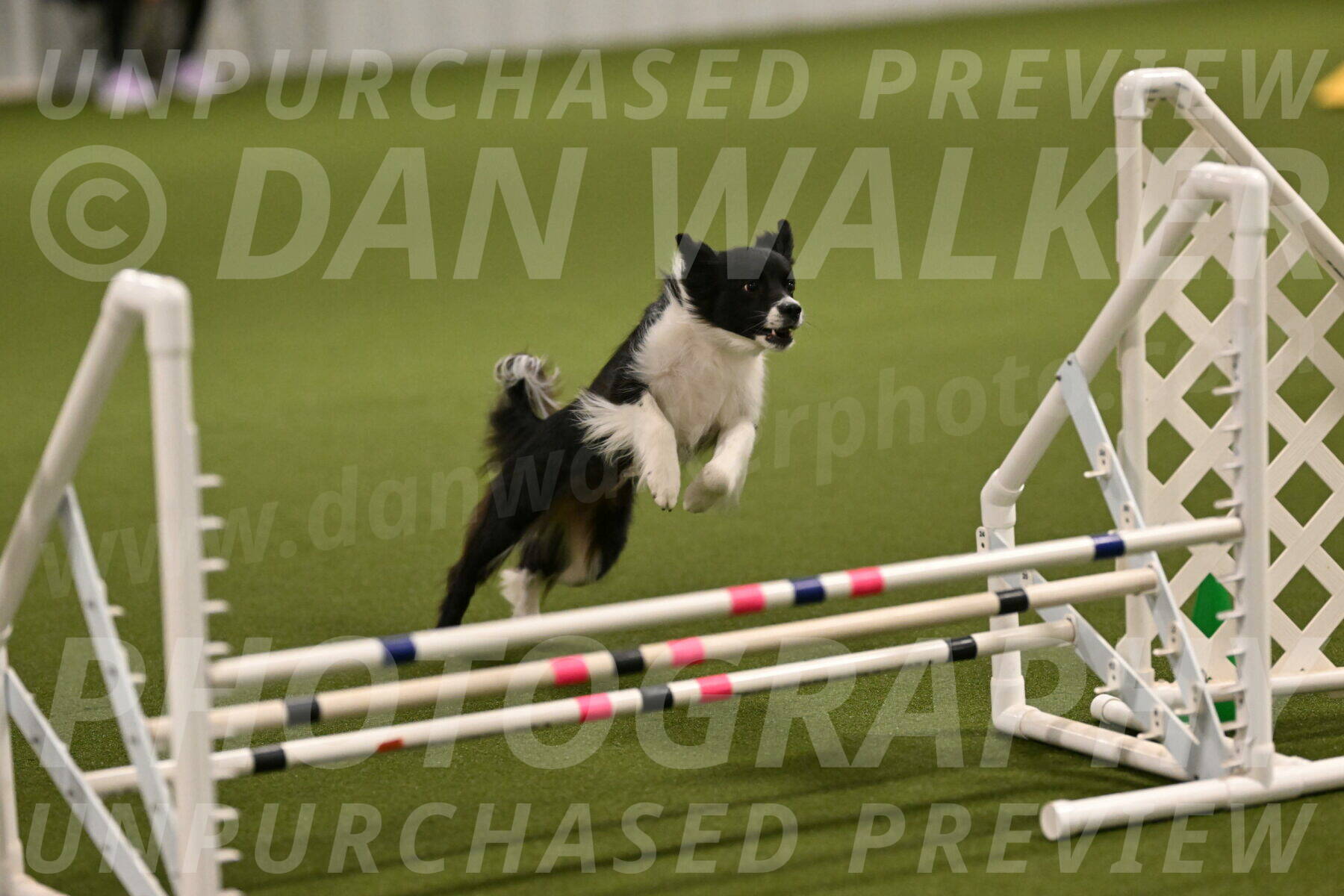 Esme-Samantha-Yanchik-00878