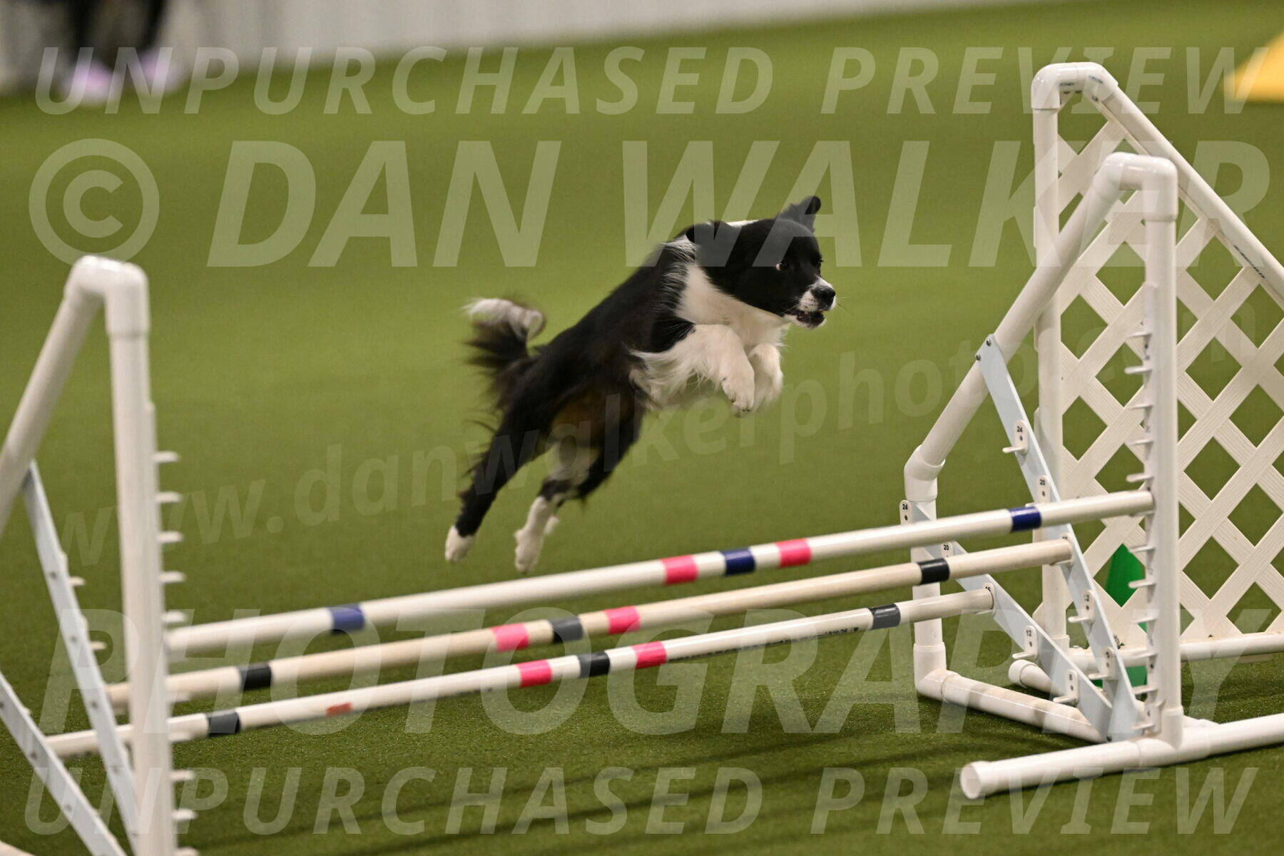 Esme-Samantha-Yanchik-00879