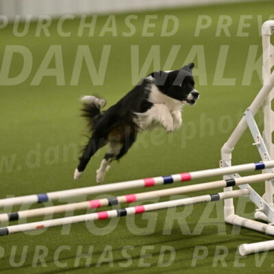 Esme-Samantha-Yanchik-00879