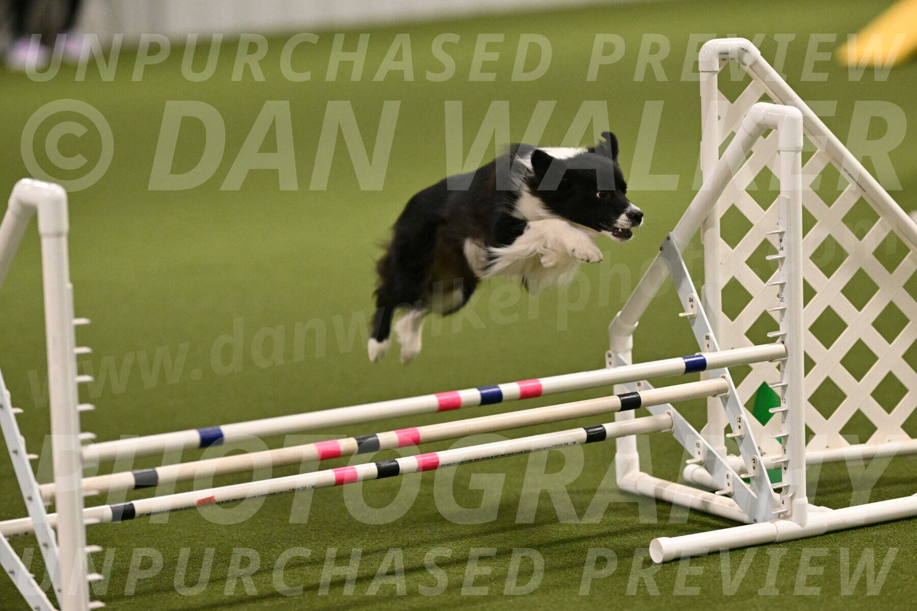 Esme-Samantha-Yanchik-00880