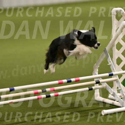 Esme-Samantha-Yanchik-00880