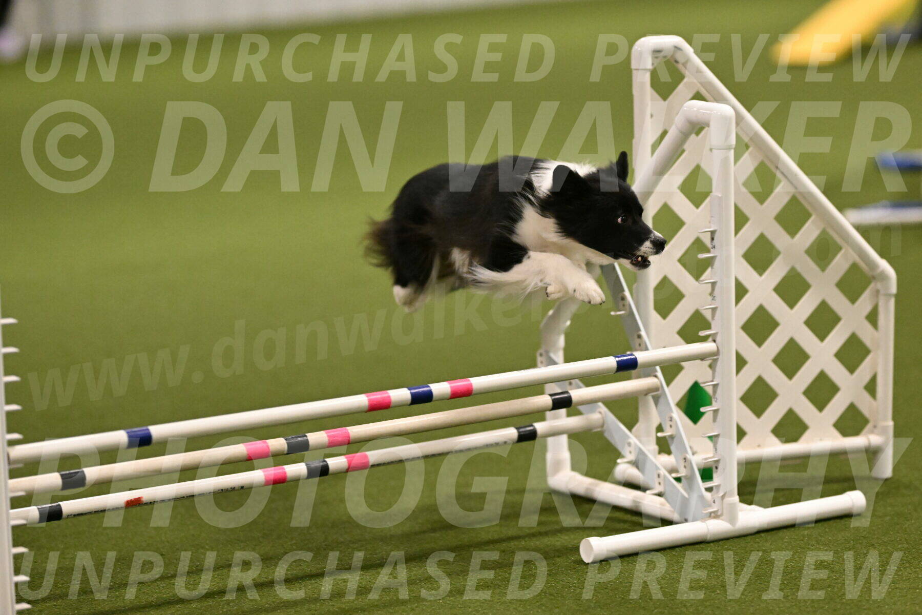 Esme-Samantha-Yanchik-00881