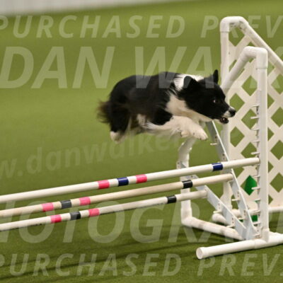 Esme-Samantha-Yanchik-00881