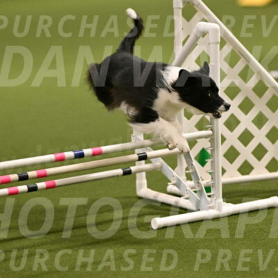 Esme-Samantha-Yanchik-00882