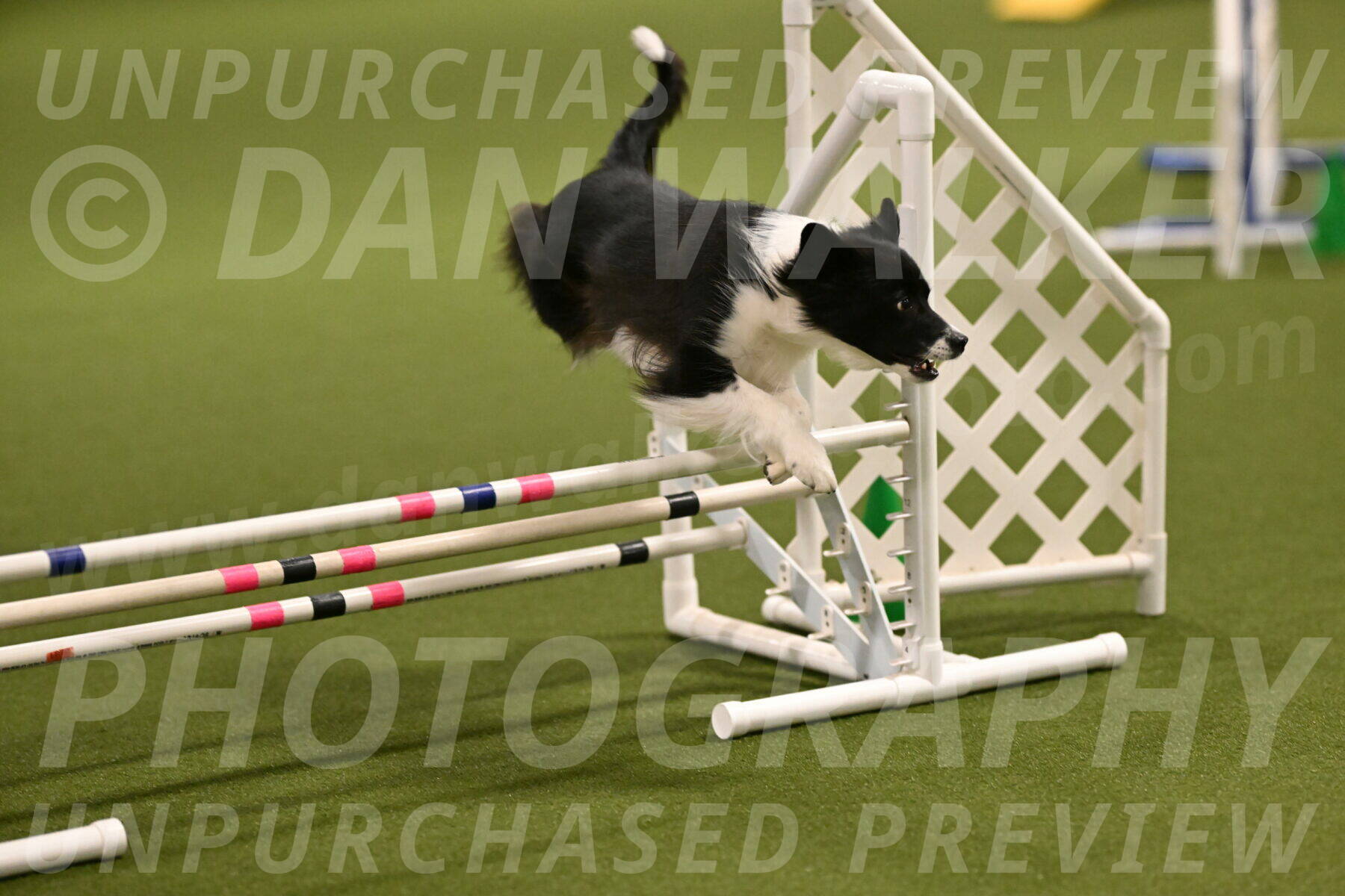 Esme-Samantha-Yanchik-00882