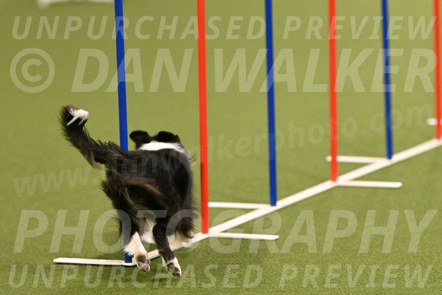 Esme-Samantha-Yanchik-00883