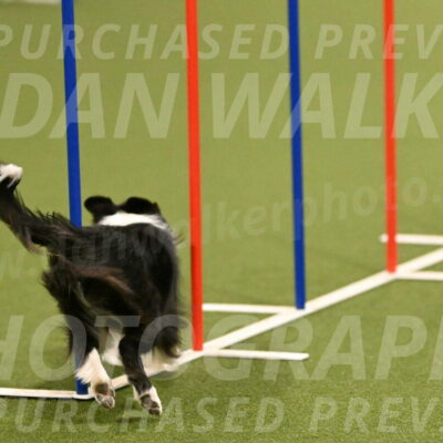 Esme-Samantha-Yanchik-00883