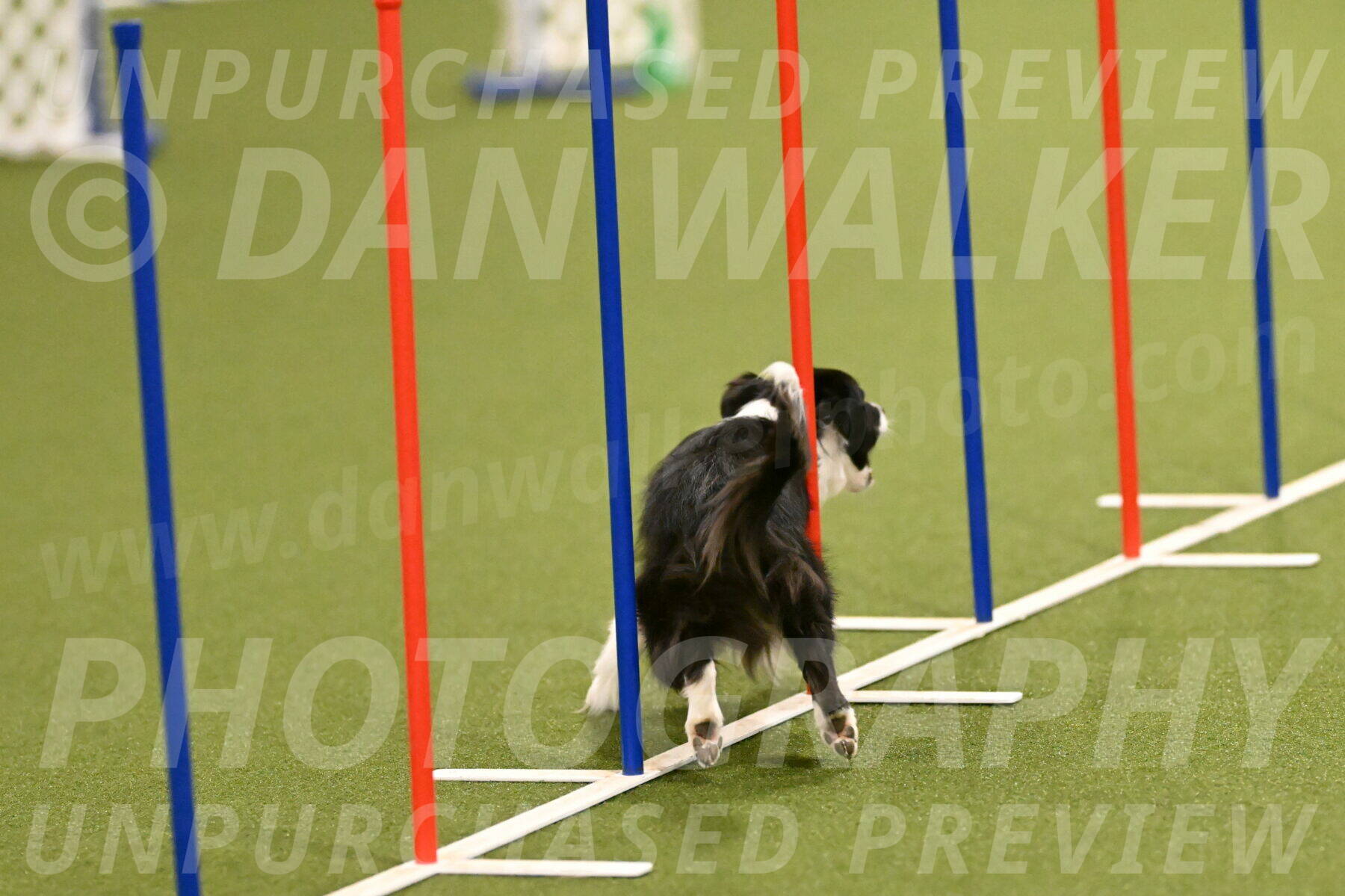 Esme-Samantha-Yanchik-00884