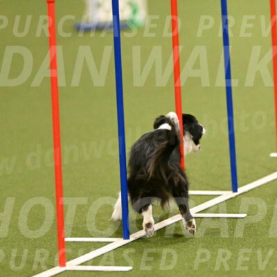 Esme-Samantha-Yanchik-00884