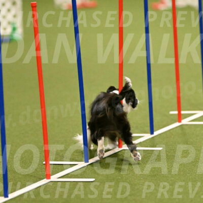 Esme-Samantha-Yanchik-00885